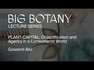 Giovanni Aloi | PLANT-CAPITAL: Objectification and Agency in a Consumerist World