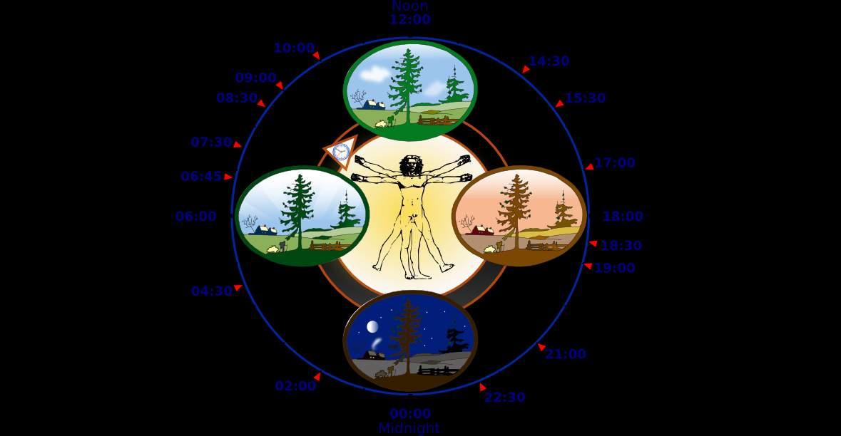 Time and the Future - Image 3