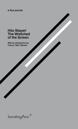 The Wretched of the Screen - Hito Steyerl