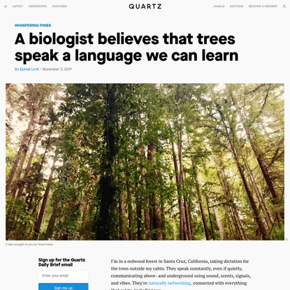 A biologist believes that trees speak a language we can learn