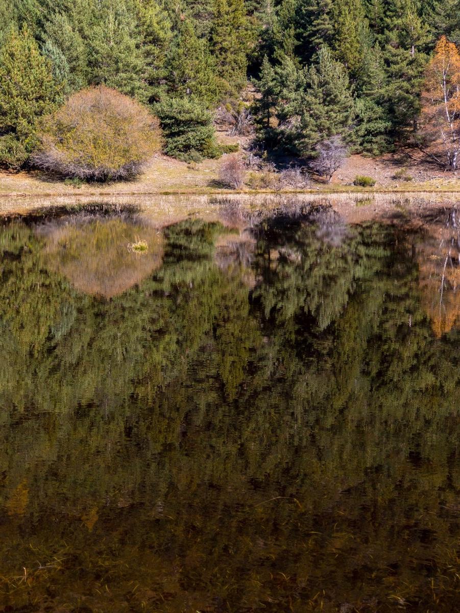 Estany de Burg (Catalunya, Spain. 2018)