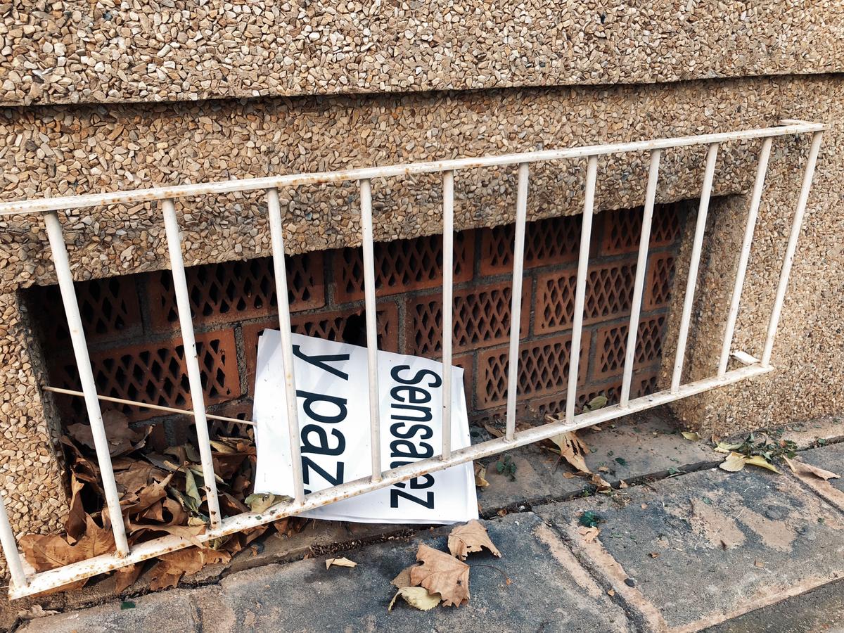 Sensatez y paz (07.12.2017)