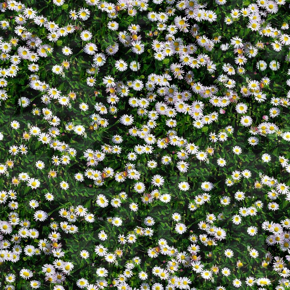 13_flowery-meadow-texture-seamless.jpg