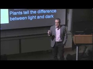 What a Plant Knows with Daniel Chamovitz | CfA