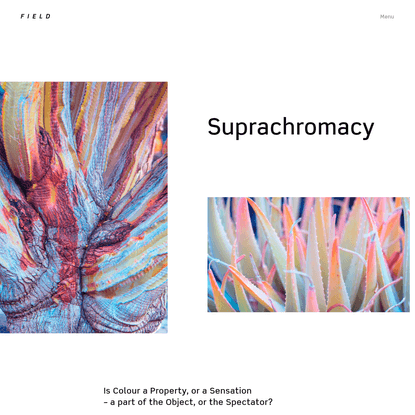 FIELD x Photography, 2018 - Suprachromacy