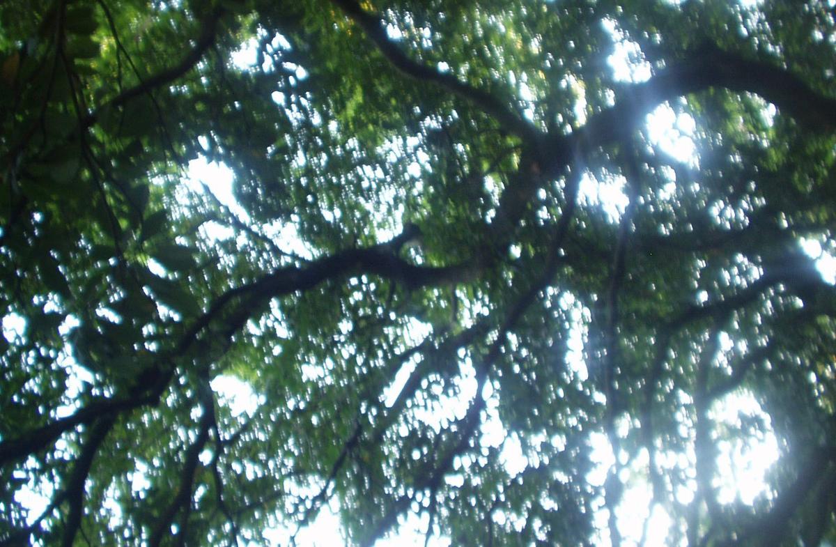 ca on X: "https://t.co/3jbwXE6SSF" / X