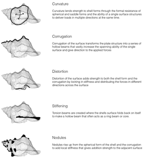principles0808seashell_diagram.jpg?1411457565