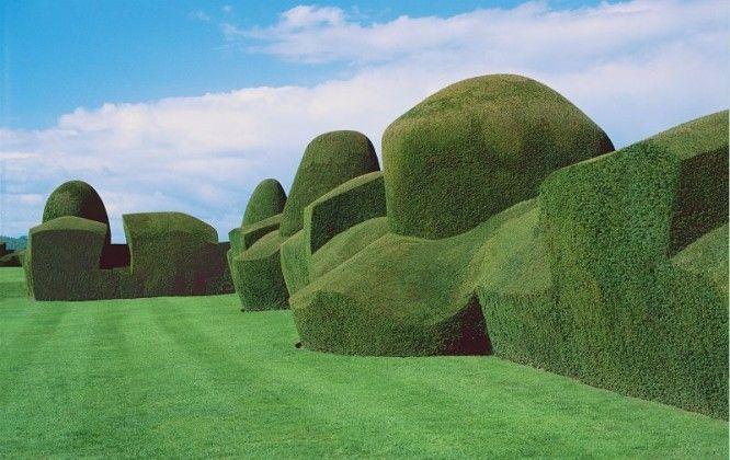 HEDGES