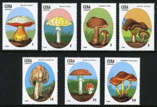 cuba_1988.jpg