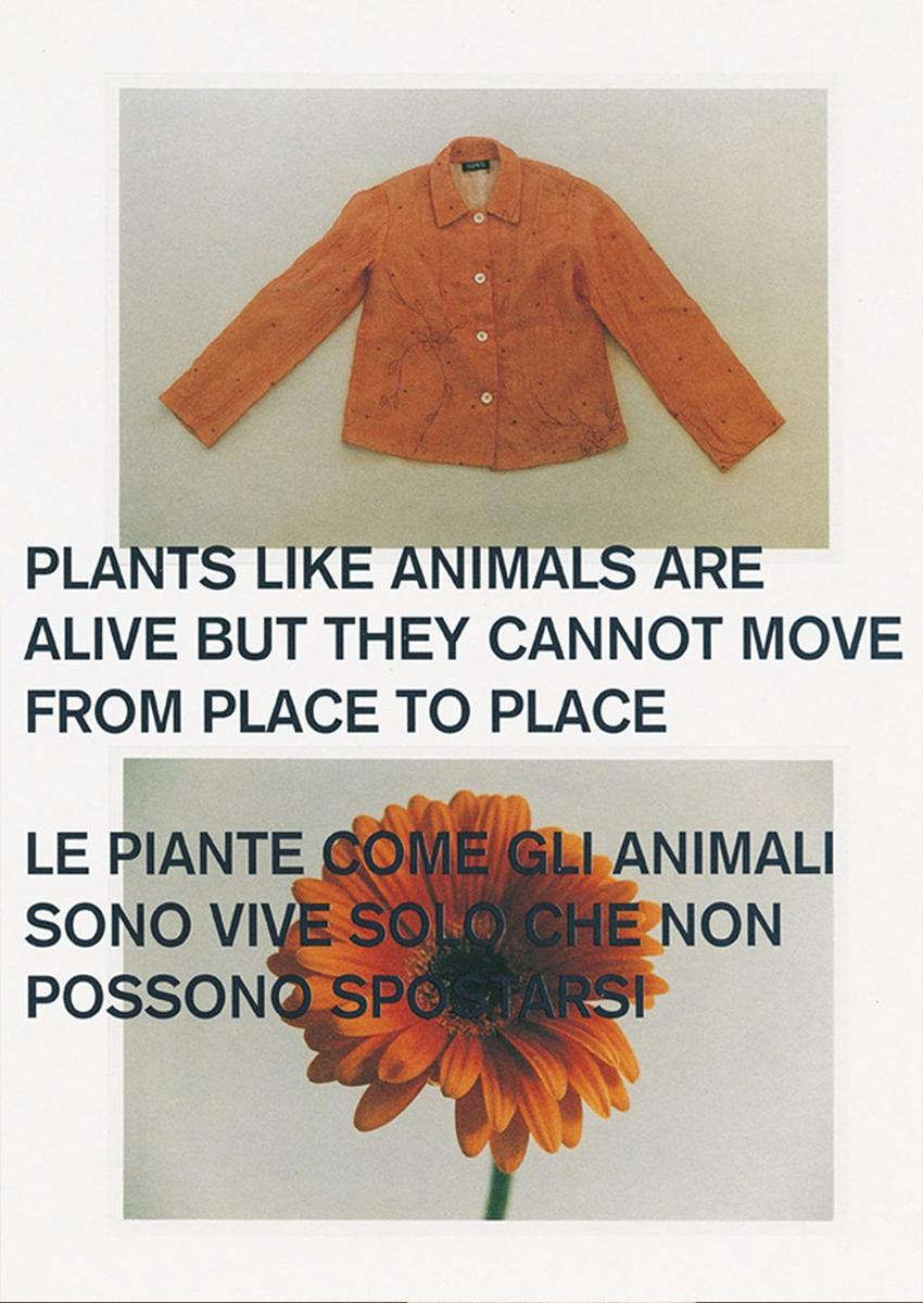 tomato_01.jpg