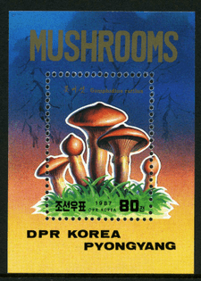 korea-north-_1987b.jpg