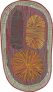 bertjan-pot_amoeba_240x416_lr.jpg