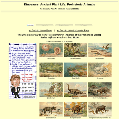 30 collector cards from Tiere der Urwelt (Animals of the Prehistoric World) - Series Ia