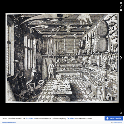 Cabinet of curiosities - Wikipedia