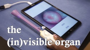 THE (IN)VISIBLE ORGAN: a documentary
