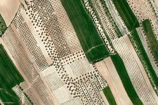 Beas, Spain (Google Earth View 1607)