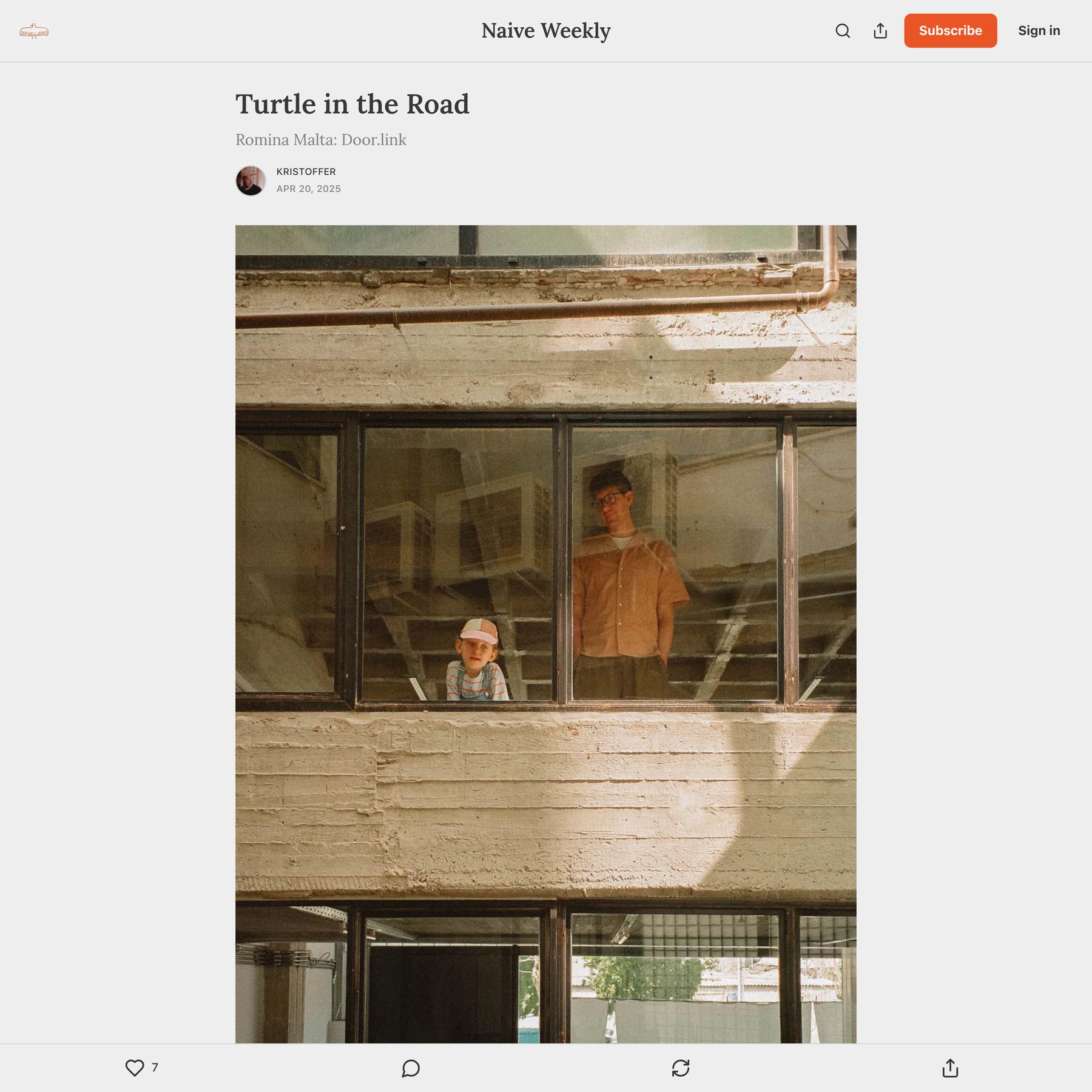 Turtle in the Road