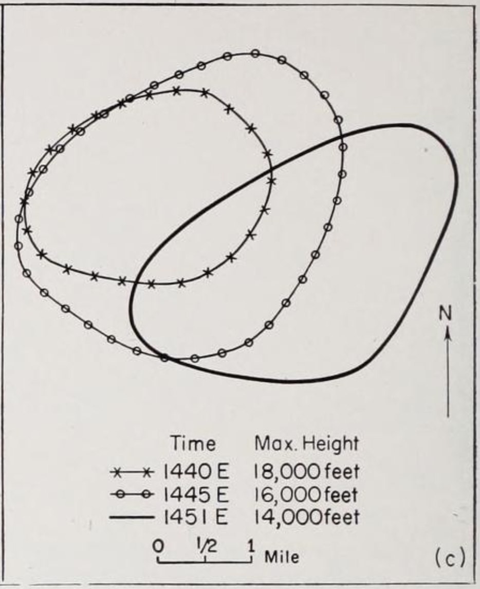 933varivln4.jpg