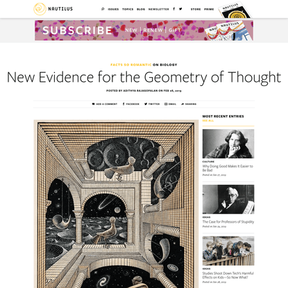 New Evidence for the Strange Geometry of Thought - Facts So Romantic - Nautilus