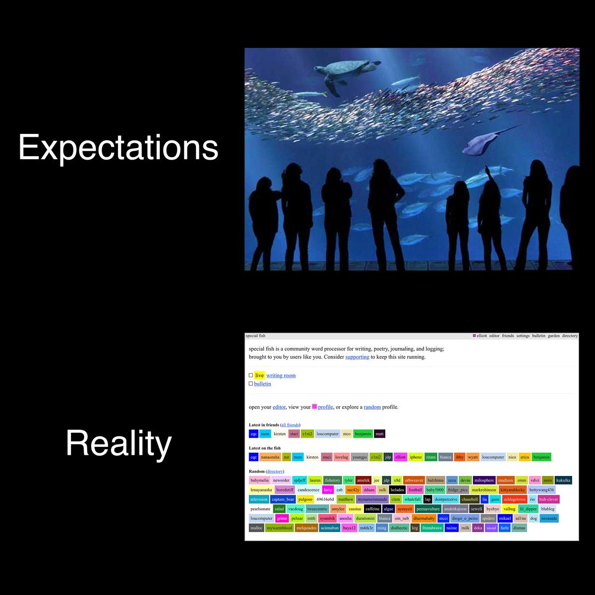 expectations-reality.png