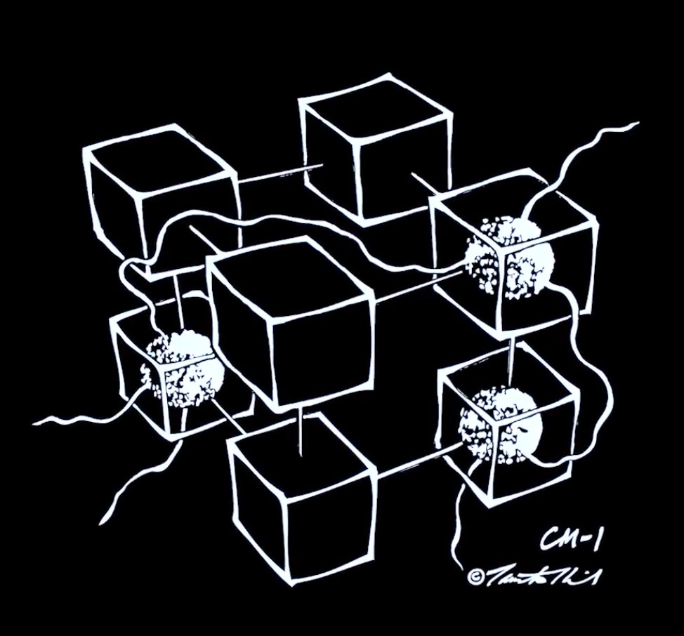 Tamiko Thiel - Connection Machine Hypercube