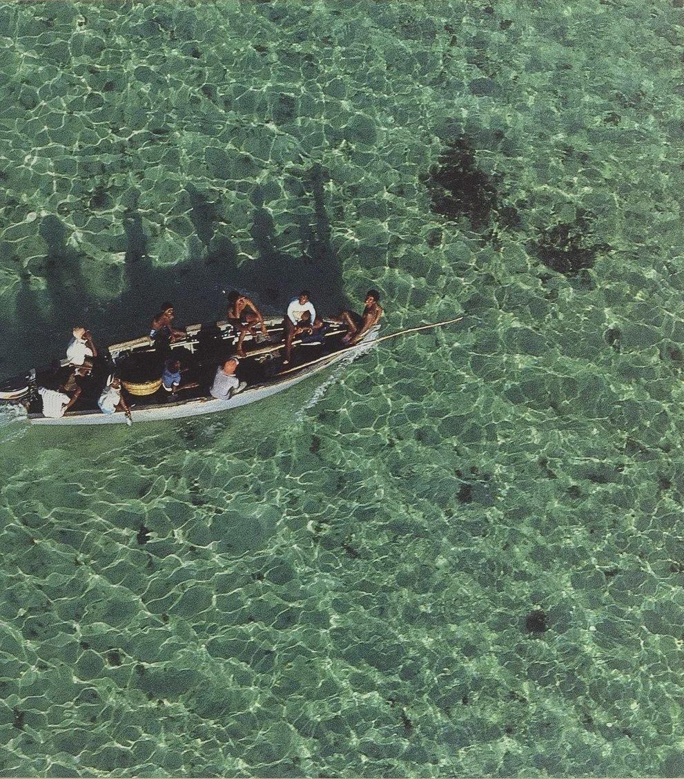 gr0ktaox0aacrcg?format=jpg-name=medium