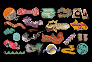 2p-taxonomy-of-strokes-on-black.jpg