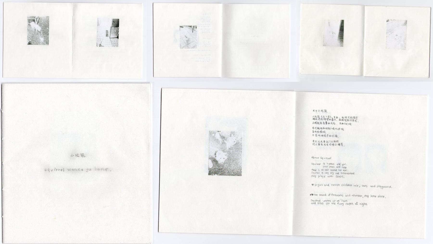 squirrel-wanna-go-home