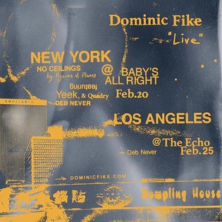 NY / LA tickets on sale now, dominicfike.com 🔆