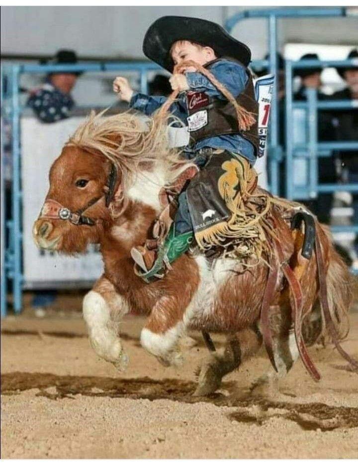 Pin on Animal Riding