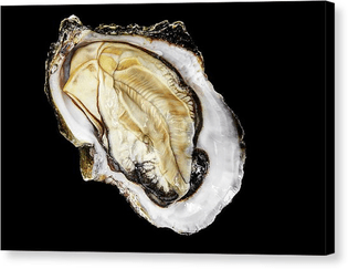 oysters2hdrjan2013-02234ver1fused8x12faajpg-andy-frasheski-canvas-print.jpg
