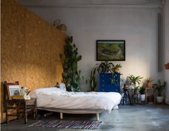 bedroom_plants.jpg