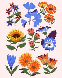 🌷 . . . . . . . . . #illustrationartist #illustrationoftheday #botanicalillustration #floraldesign #printisntdead #printandp...