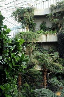 the_barbican_centretropical_roof_top_conservatory_by_aegiandyad-d4jk5hp.jpg