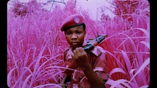 Richard Mosse: The Impossible Image