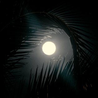 tumblr_phcu2d80221r1yy45o1_1280.jpg