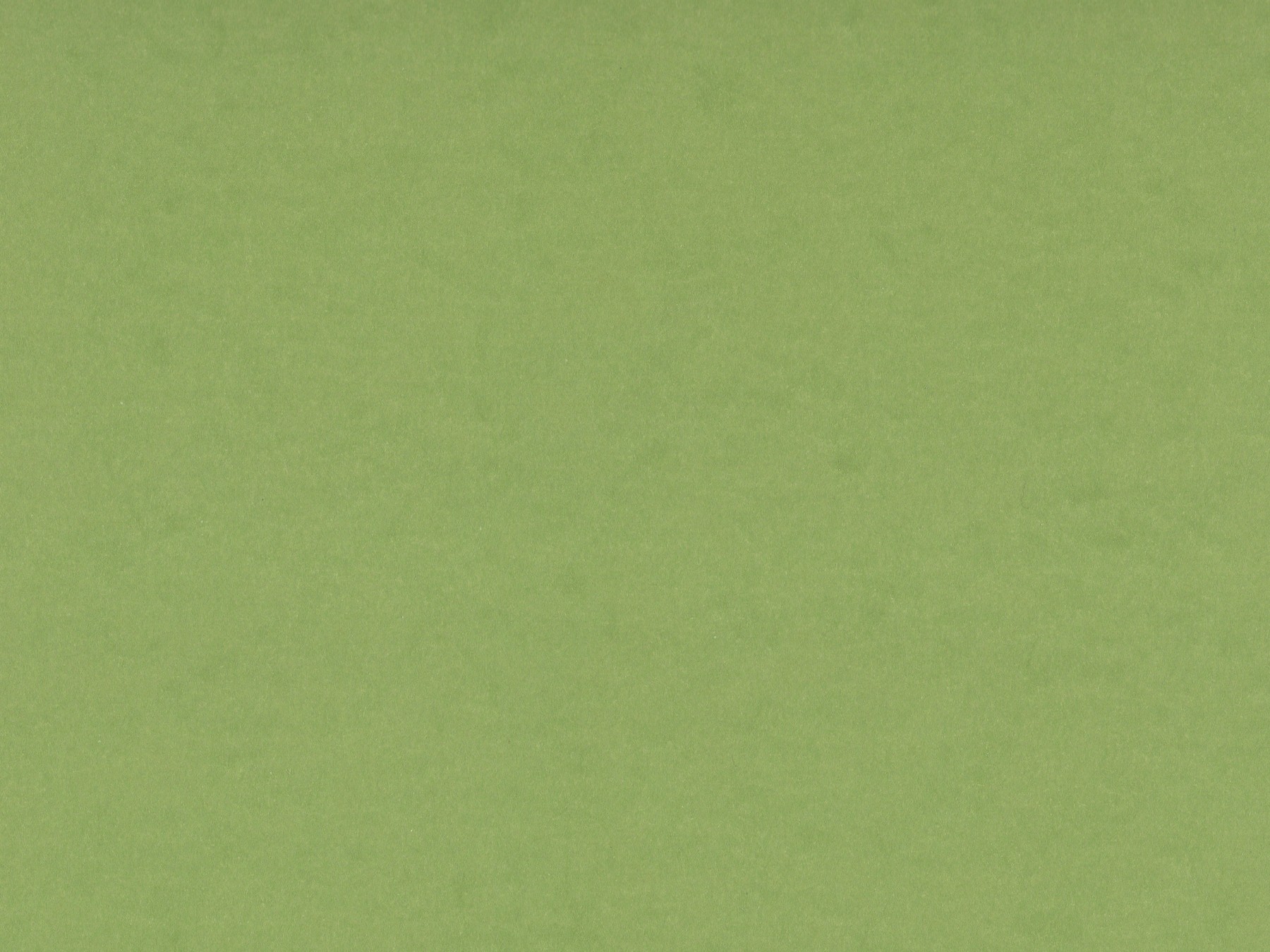 pea-green-card-stock-paper-texture.jpg