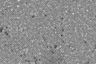 1920px-colloidcrystal_40xbrightfield_glassinwater.jpg