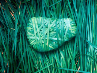Andy-Goldsworthy-Grass.jpg