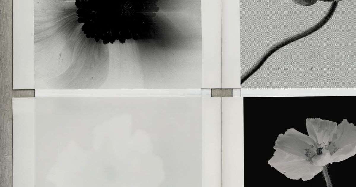 Layout Composition Editorial Are Na