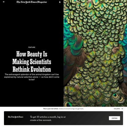 How Beauty Is Making Scientists Rethink Evolution