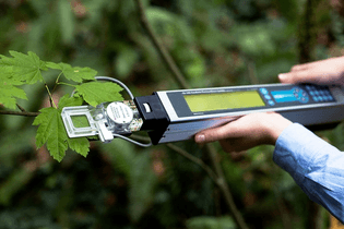 CI-340 Handheld Photosynthesis System