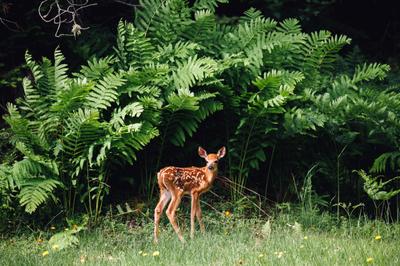 Artist: Jonah Reenders