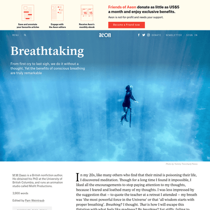 Do hold your breath: on the benefits of conscious breathing - M M Owen | Aeon Essays