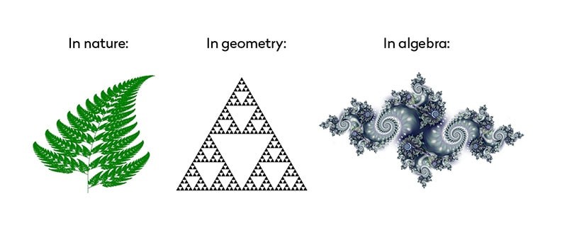 fractal_geometry_jasser_studio-min.jpg