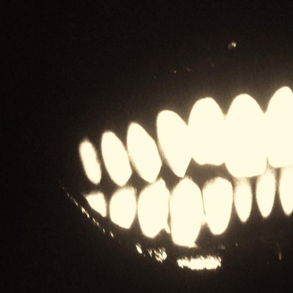 Photography - Image 1