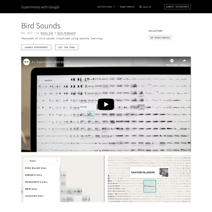 Bird Sounds by Manny Tan &amp; Kyle McDonald | Experiments with Google