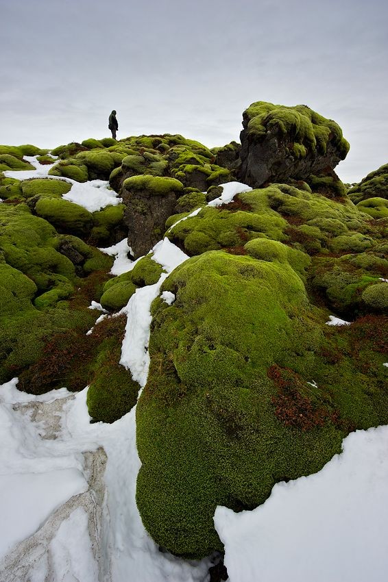 iceland.jpg