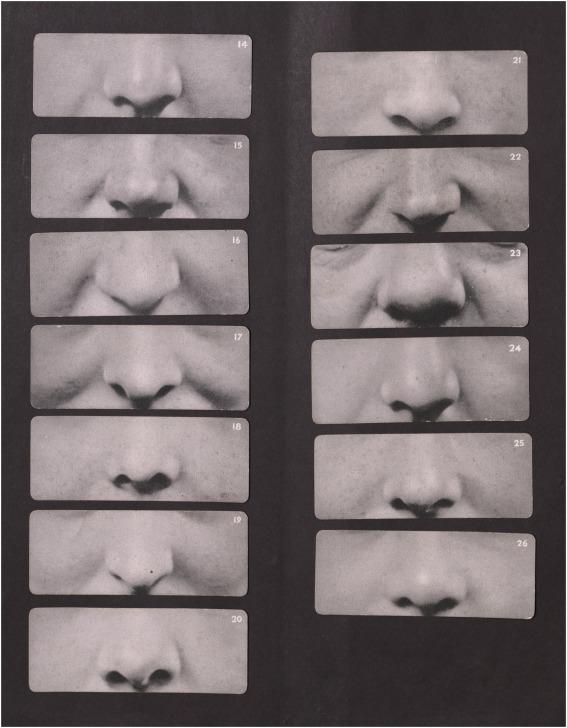 Graphic - Image 3