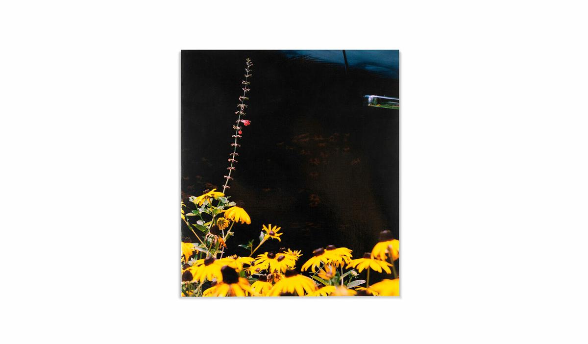 Mystery Street « Vasantha Yogananthan